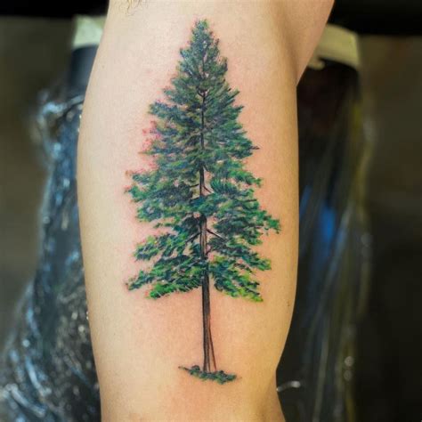 Update 84 Evergreen Tree Tattoo Best Incdgdbentre