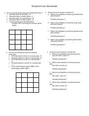 Dihybrid cross worksheet dominate allele for purple flowers = w• recessive allele for white flowers = w• cross a homozygous dominate parent(ddww) with a nameperioddatescore25pts chapter 6: CPE Dihybrid Cross - Dihybrid Cross Worksheet 1 Set up a ...