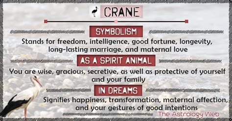 Maybe you would like to learn more about one of these? Crane Meaning and Symbolism | The Astrology Web
