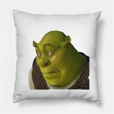 Shrek Oop Meme Pillow Shrek In 2022 Pillows Throw Pillows Custom