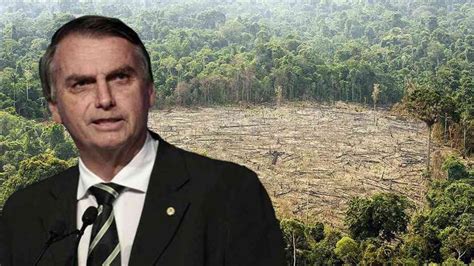 Bolsonaro No Puedes Acabar Con La Deforestación Ni Con Los Incendios