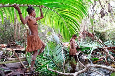 Fapte Despre Tribul Korowai Din Papua De Sud Authentic Indonesia Blog
