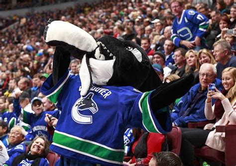 fin the vancouver canucks mascot bites a penguin during the nhl game against the pittsburgh