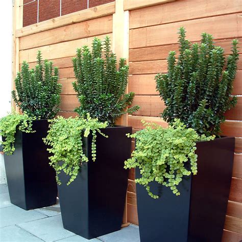 Toulan Large Tapered Square Planters Fiberglass Planters By Jay Scot