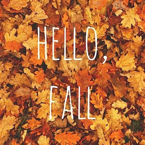 Hello Fall Pictures Photos And Images For Facebook Tumblr Pinterest