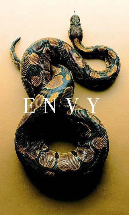 Seven Deadly Sins Envy Iphone 5 Wallpaper Pretty Snakes Snake