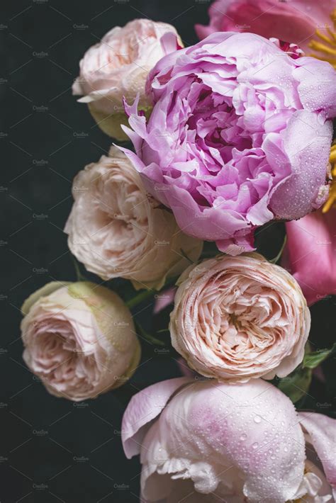 Roses And Peonies High Quality Nature Stock Photos