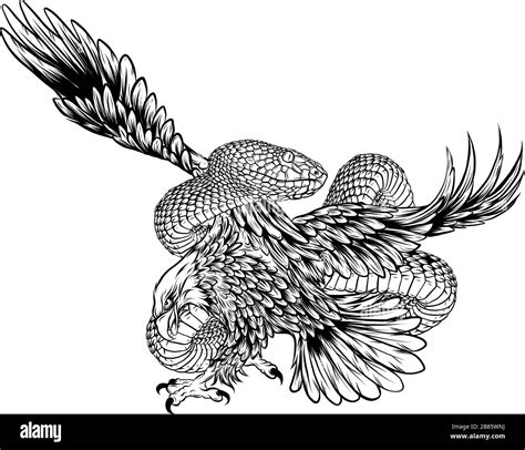 Top More Than 76 Eagle And Snake Tattoo Design Best Vn