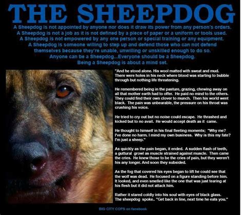 Sheepdog famous quotes & sayings: Sheepdog Quotes. QuotesGram