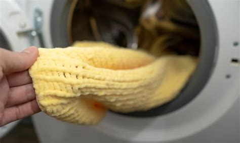 How To Wash Wool The Complete Guide