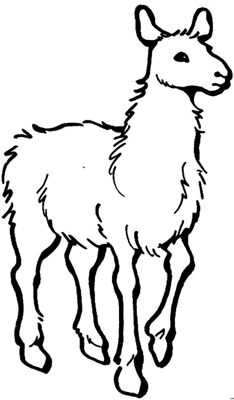 Einfaches Lama Ausmalbild & Malvorlage (Tiere)