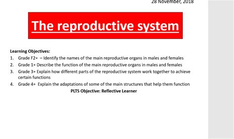 Human Reproductive Systems Teaching Resources
