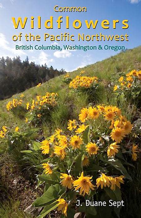 Common Wildflowers Of The Pacific Northwest By J Duane Sept