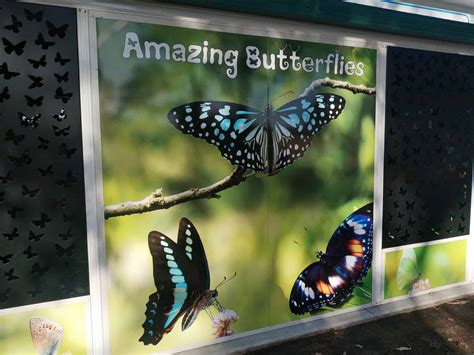 Bribie Island Butterfly House Opening Hours Entry
