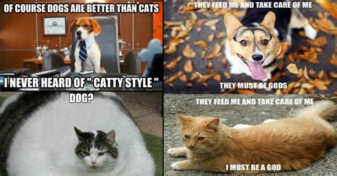 20 Memes About The Hilarious Differences Between Cats And Dogs