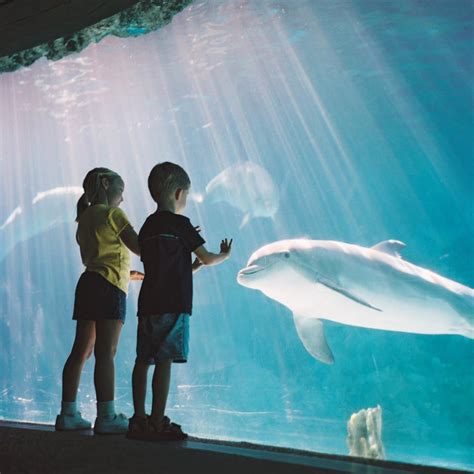Virginia Aquarium & Marine Science Center