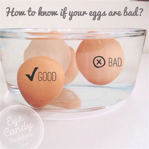 How To Tell If Your Eggs Are Bad Easy Tips To Figure It Out