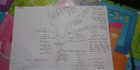 Mind Map Dan Peta Konsep Materi Ruang Lingkup Biologi Riset Vrogue