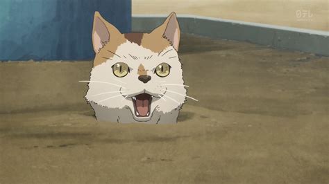 Update 62 Cat Anime Opening Meme Super Hot In Cdgdbentre