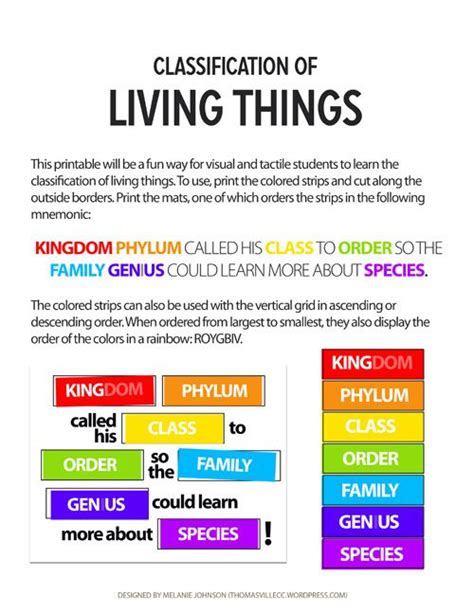 Classification Of Living Things Teaching Science Science Lessons