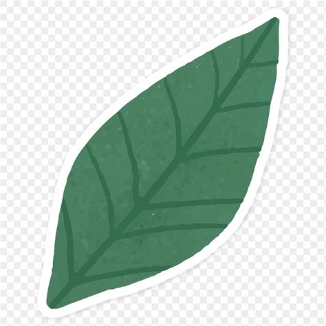 Green Leaf Sticker Png