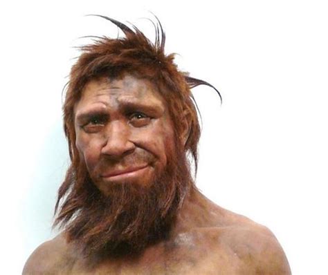 What A Neanderthal Really Looks Like Ancient Humans Ancient People