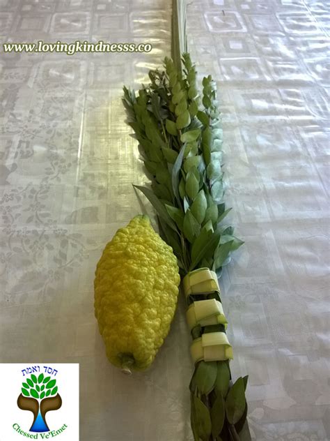 How To Make Lulav Rings And Assemble Your Lulav According