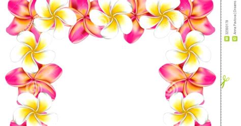 Hawaiian Flower Border Clip Art Amazing Wallpapers
