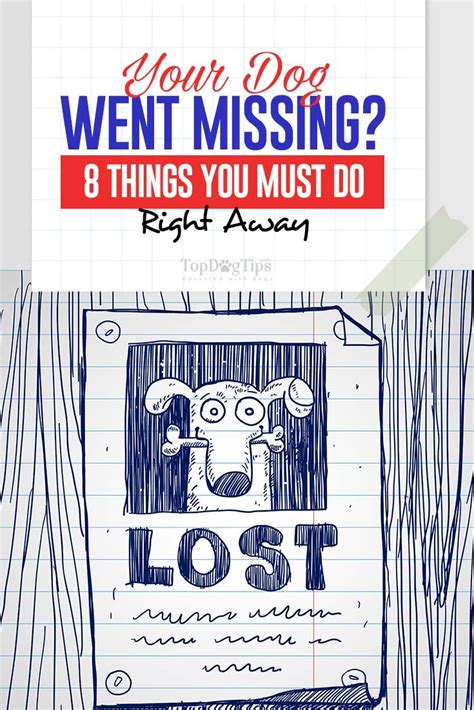 How To Find A Missing Dog 10 Best Tips To Reunite You With Your Dog