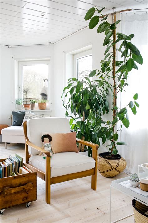 Blink smart security for every home. 6 Ways To Decorate With Plants — decor8