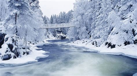 winter forest wallpapers  images wallpapers pictures