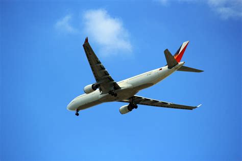 無料画像 翼 飛ぶ 飛行機 車両 航空会社 フライト 青空 雲 旅客機 商業の エアバス 離陸 重力 空軍