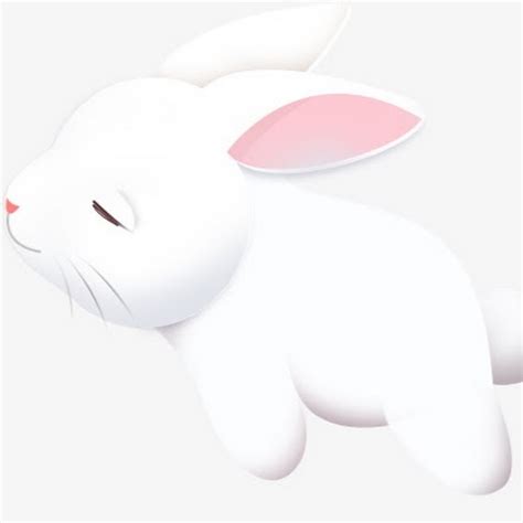 Sleepy Bunny Youtube