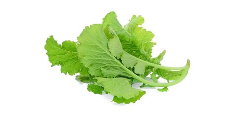 Mustard Greens All You Need To Know Guide To Fresh Produce