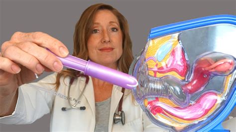 Tampons are products used to absorb your menstrual flow. How to put a tampon in so it won't hurt: - YouTube