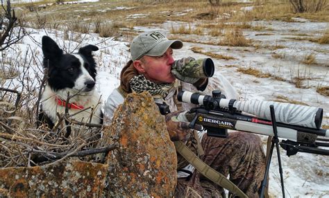 Coyote Hunting With Dogs — Ron Spomer Outdoors