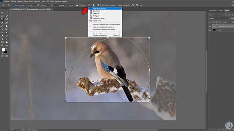 C Mo Recortar Y Redimensionar Imagen En Photoshop Solvetic