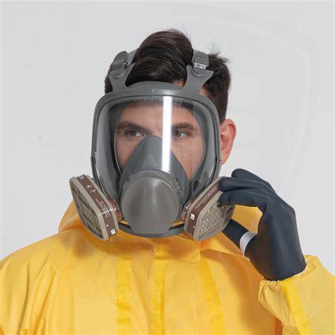 6800 Full Face Respirator Gas Mask For Painting Spraying From China