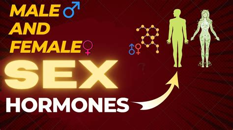male and female sex hormones by mitesh sir youtube