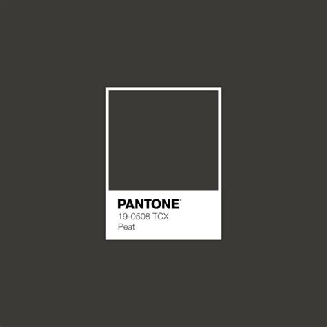 Fine Beautiful Pantone 9184 U Silver Pms