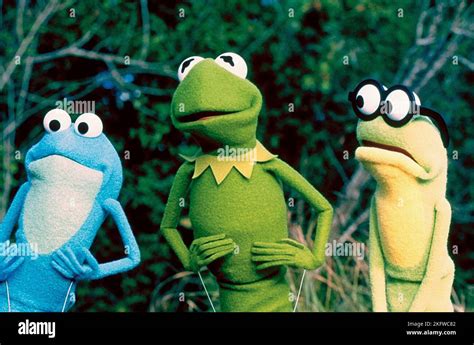 Croaker Kermit Goggles Kermits Swamp Years 2002 Stock Photo Alamy