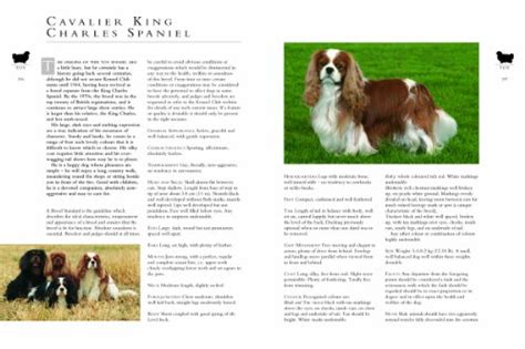 The Kennel Clubs Illustrated Breed Standards The Official Guide To