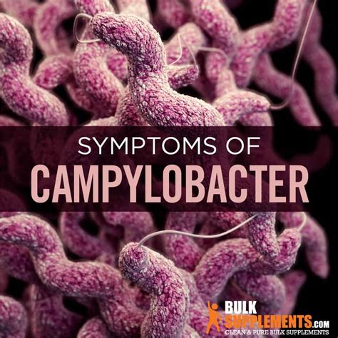 Campylobacter Symptoms Causes And Treatment