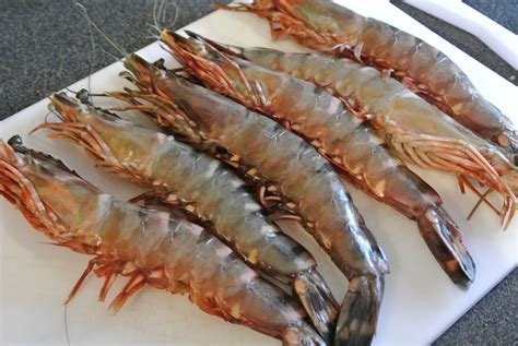 Black Tiger Shrimps Suppliers Asian Tiger Shrimps Giant Shrimps