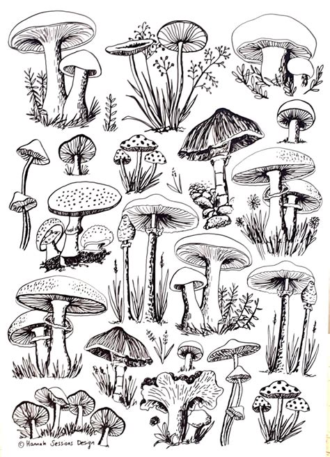 A Art Print Of Mushroom Drawings Special Etsy Canada