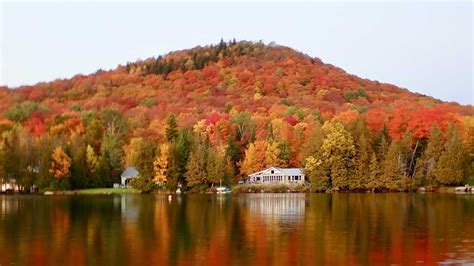 Photos Fall Foliage Reaches Peak In Vermont Northern New