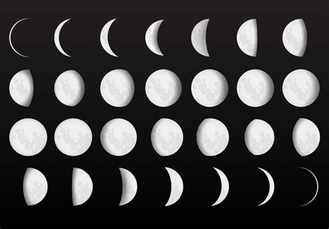 Complete Moon Phase Vectors Download Free Vector Art Stock Graphics