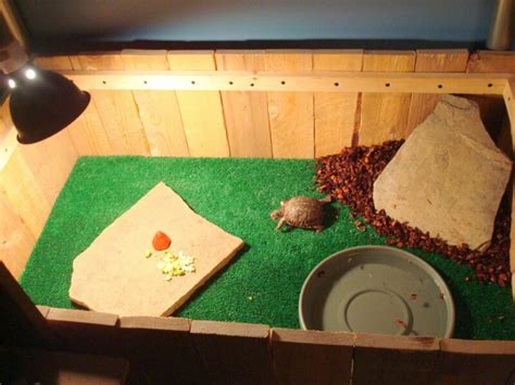 10 Diy Indoor Turtle Habitat Plans You Can Make Today With Pictures