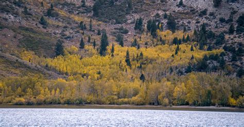Fall Colors Convict Lake · Free Stock Photo