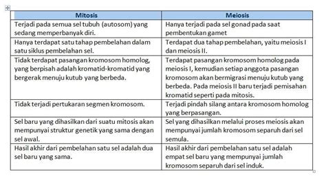 Perbezaan Antara Mitosis Dan Meiosis